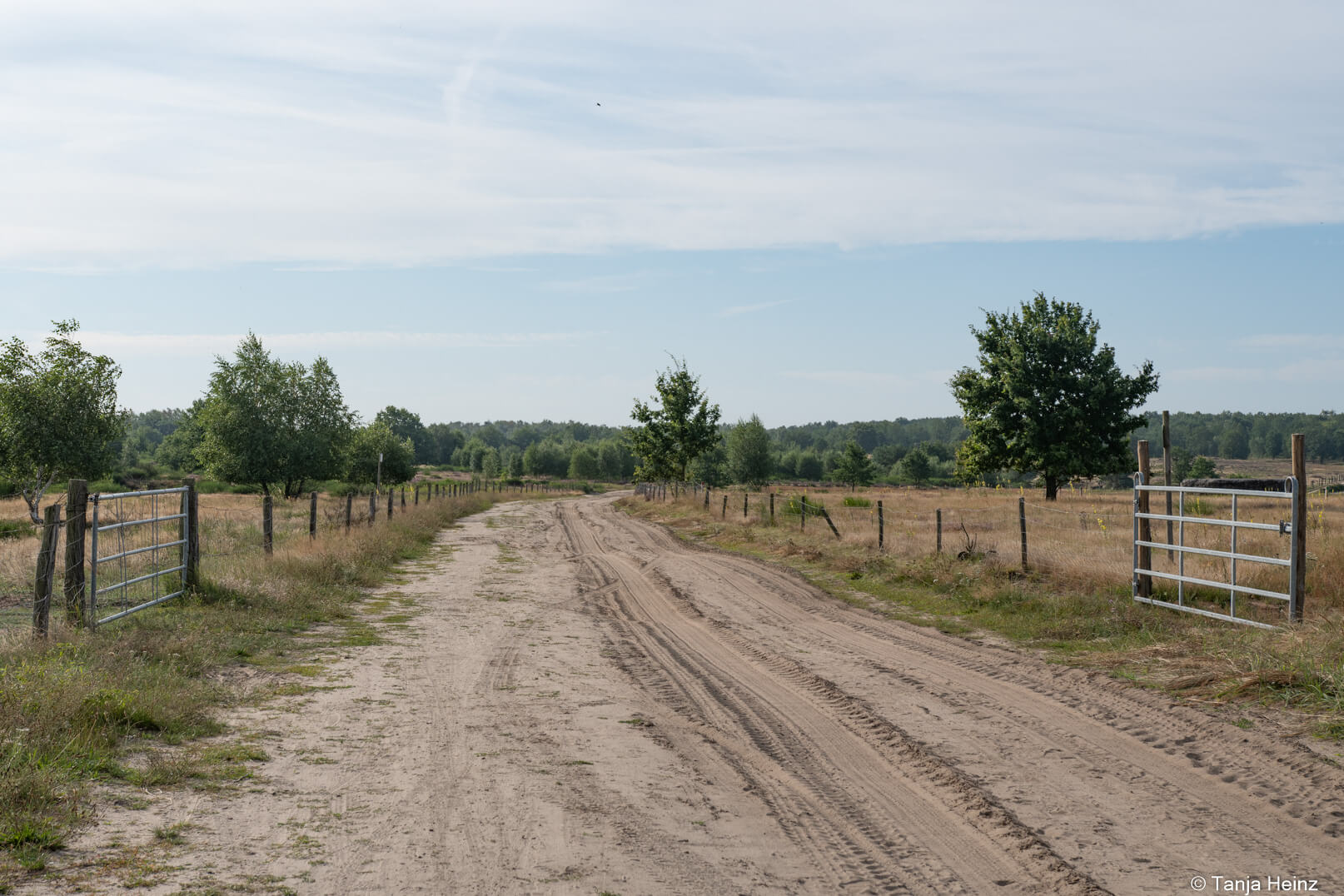 Wandern in der Döberitzer Heide