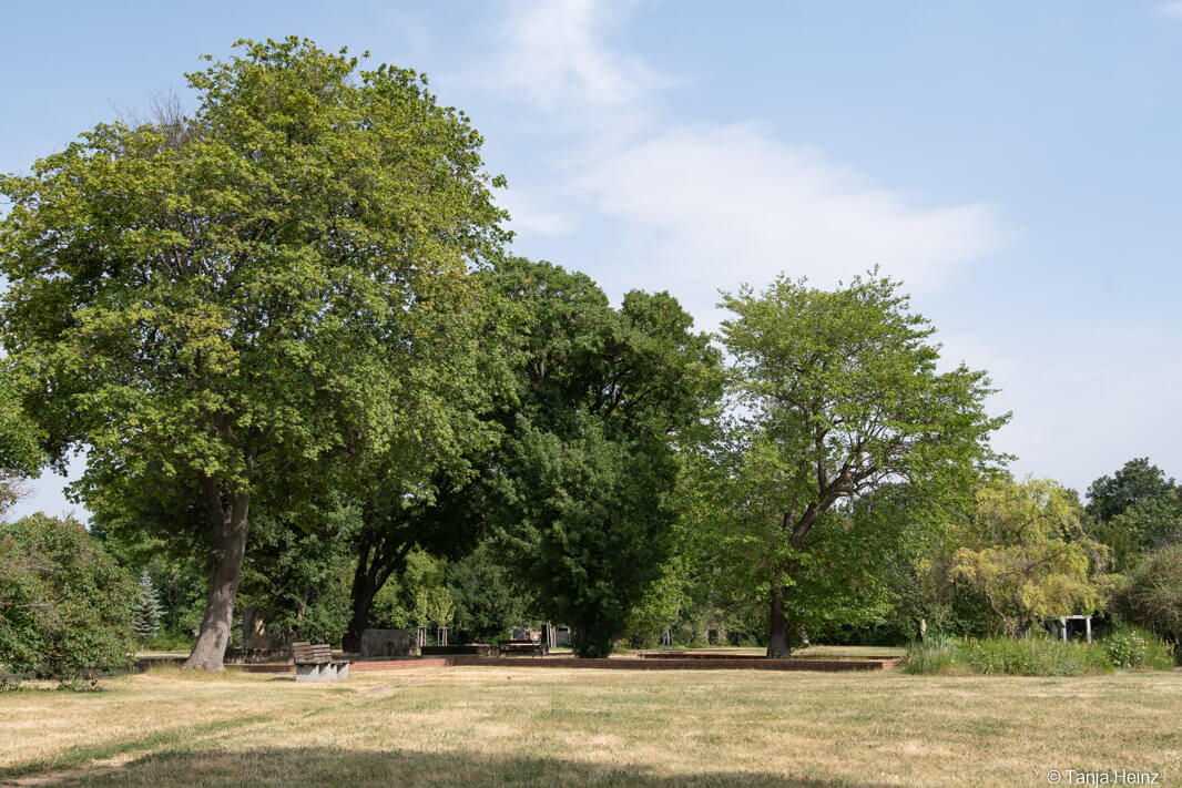 Central Cemetery in Vienna