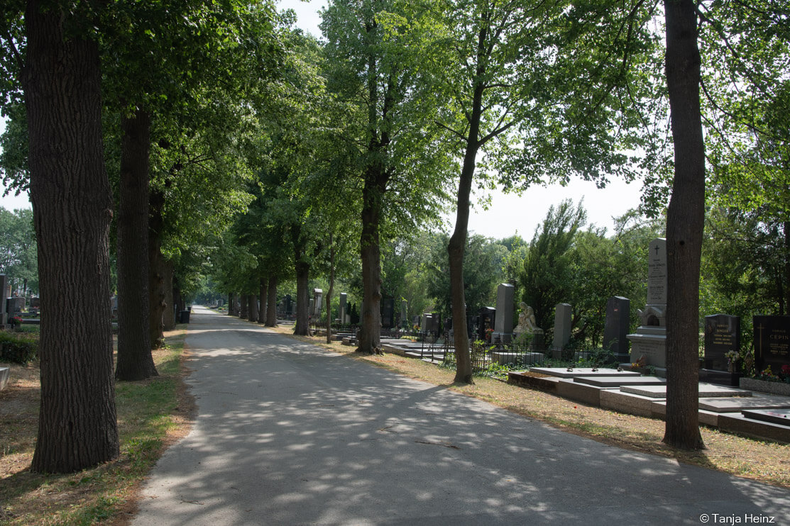 Central Cemetery in Vienna
