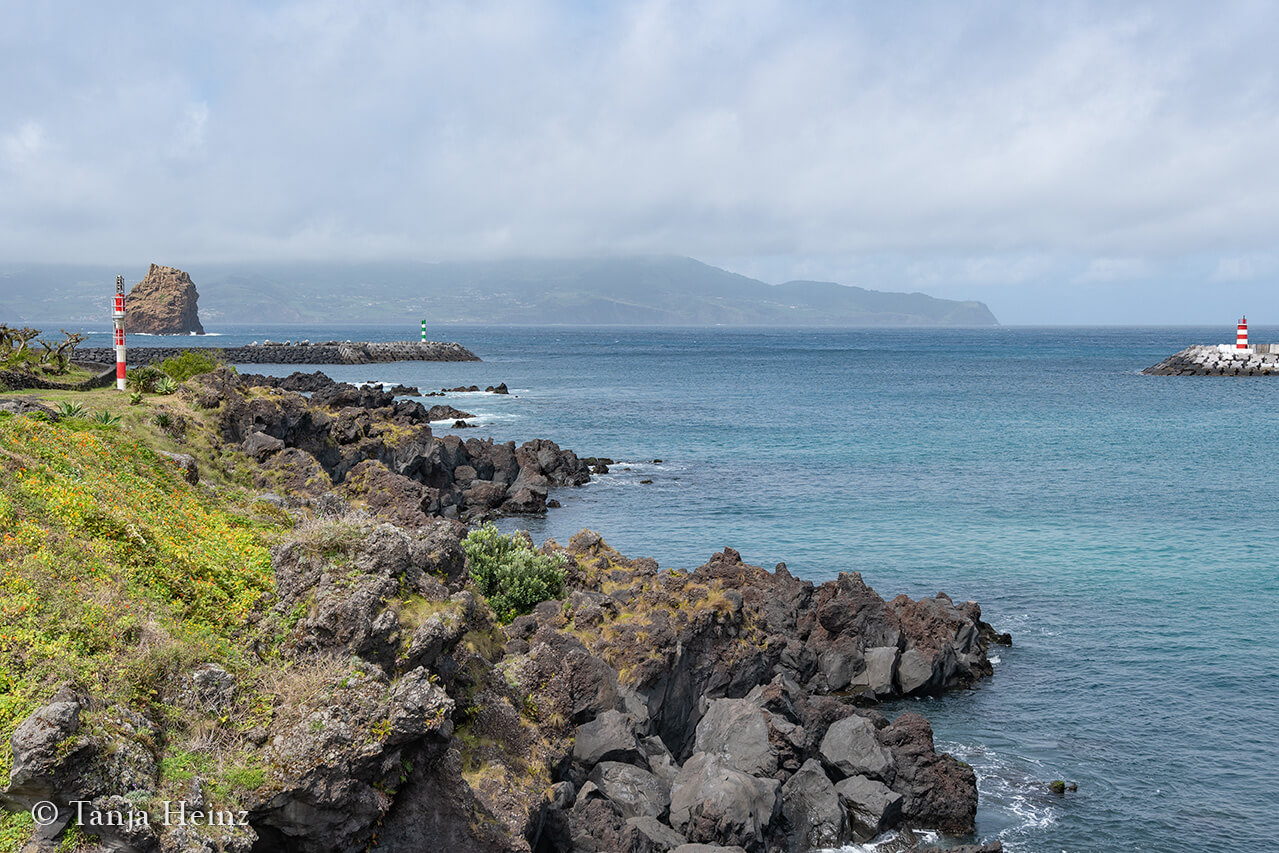 whale watching in the Azores