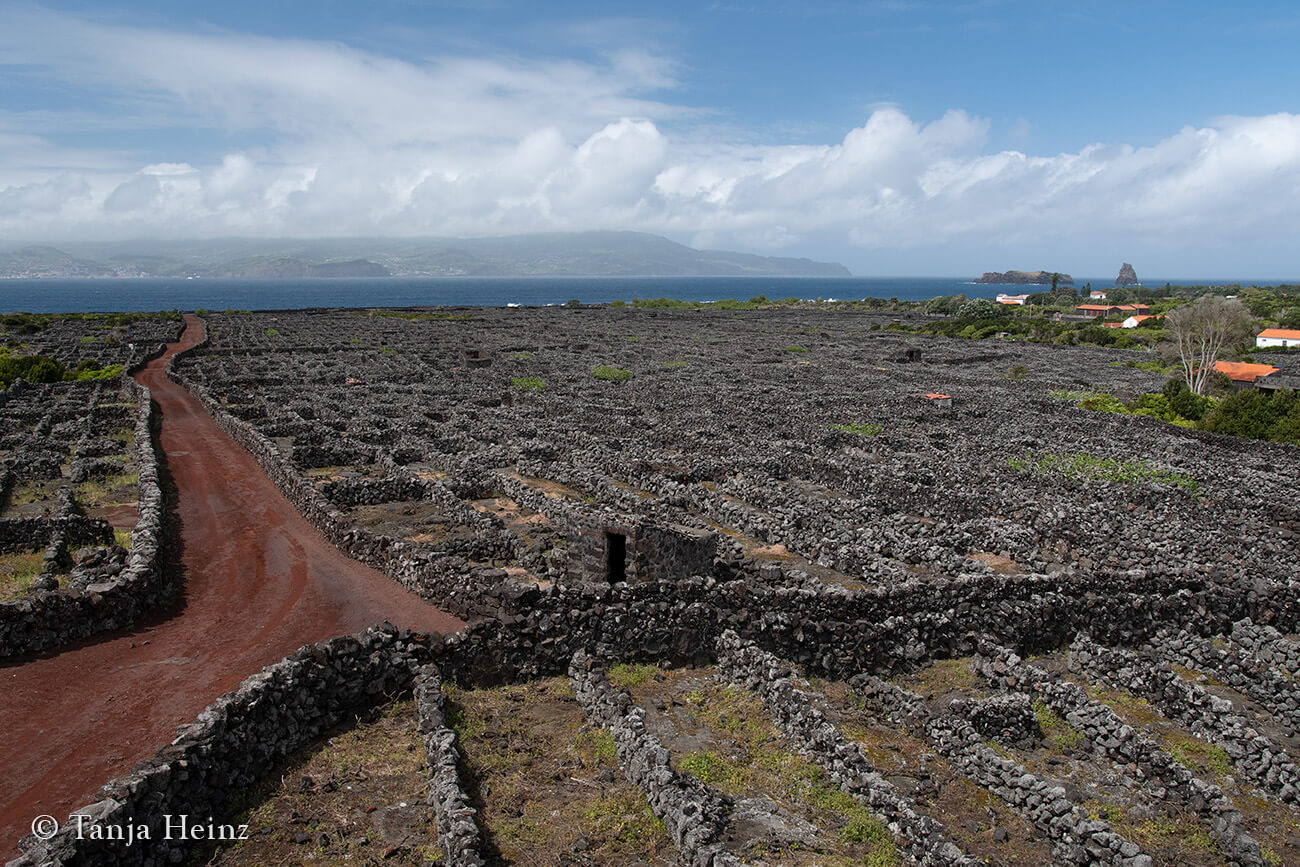 hiking in the Azores