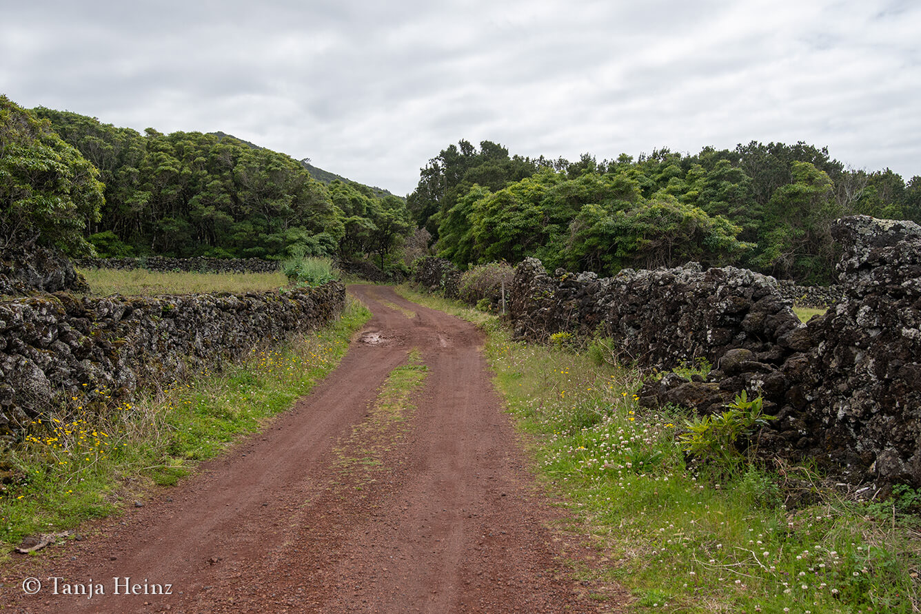 hiking in the Azores