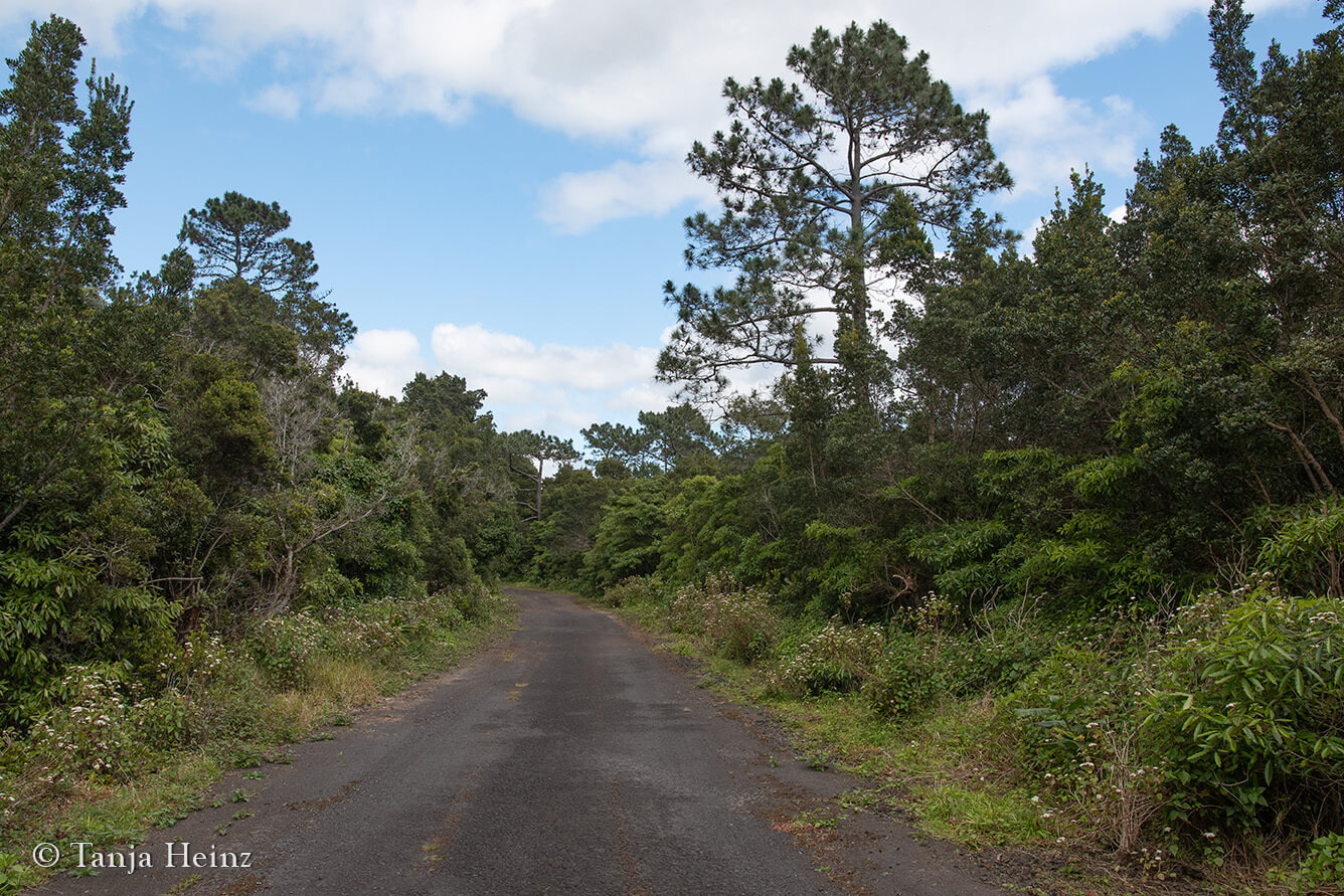hiking in the Azores