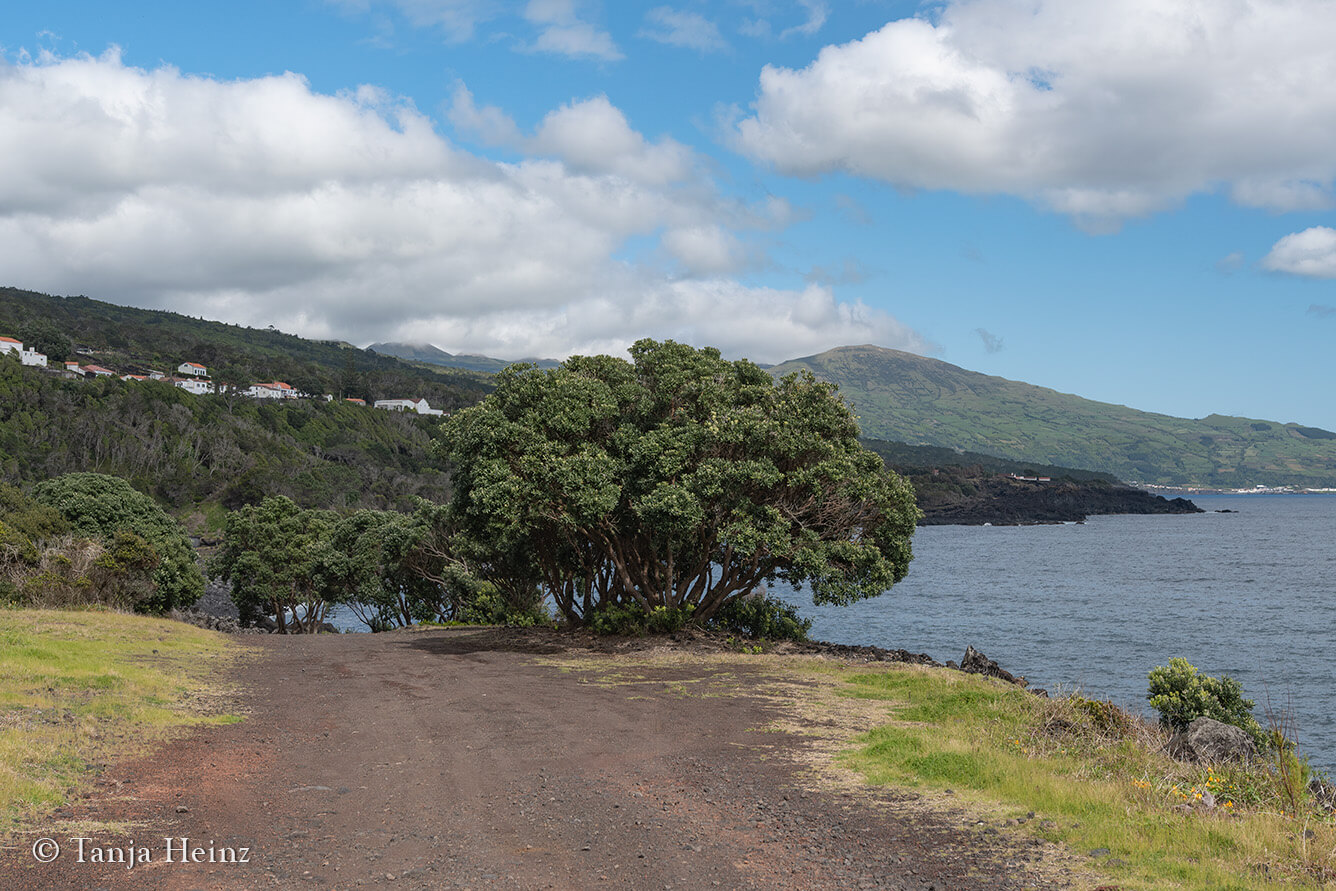 hiking in the Azores