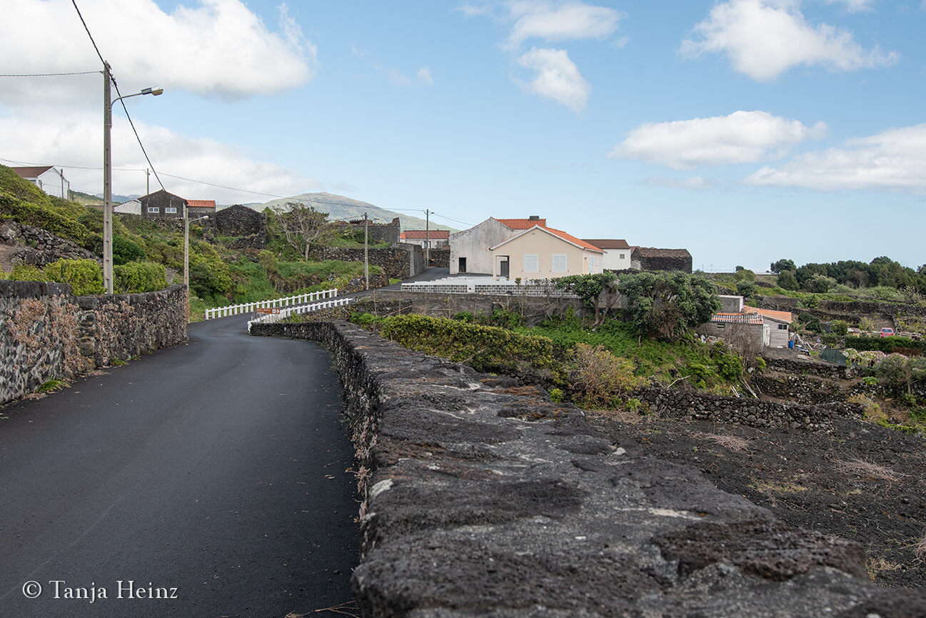 hiking in the Azores