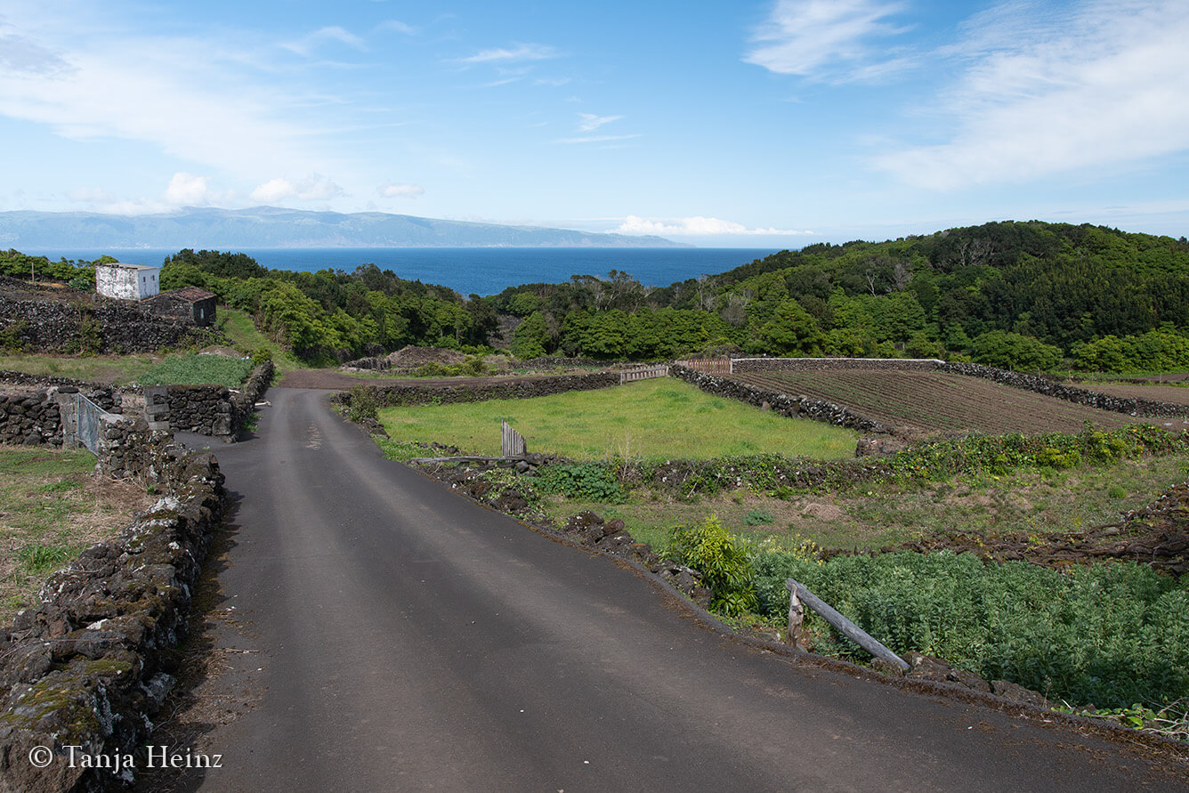 hiking in the Azores