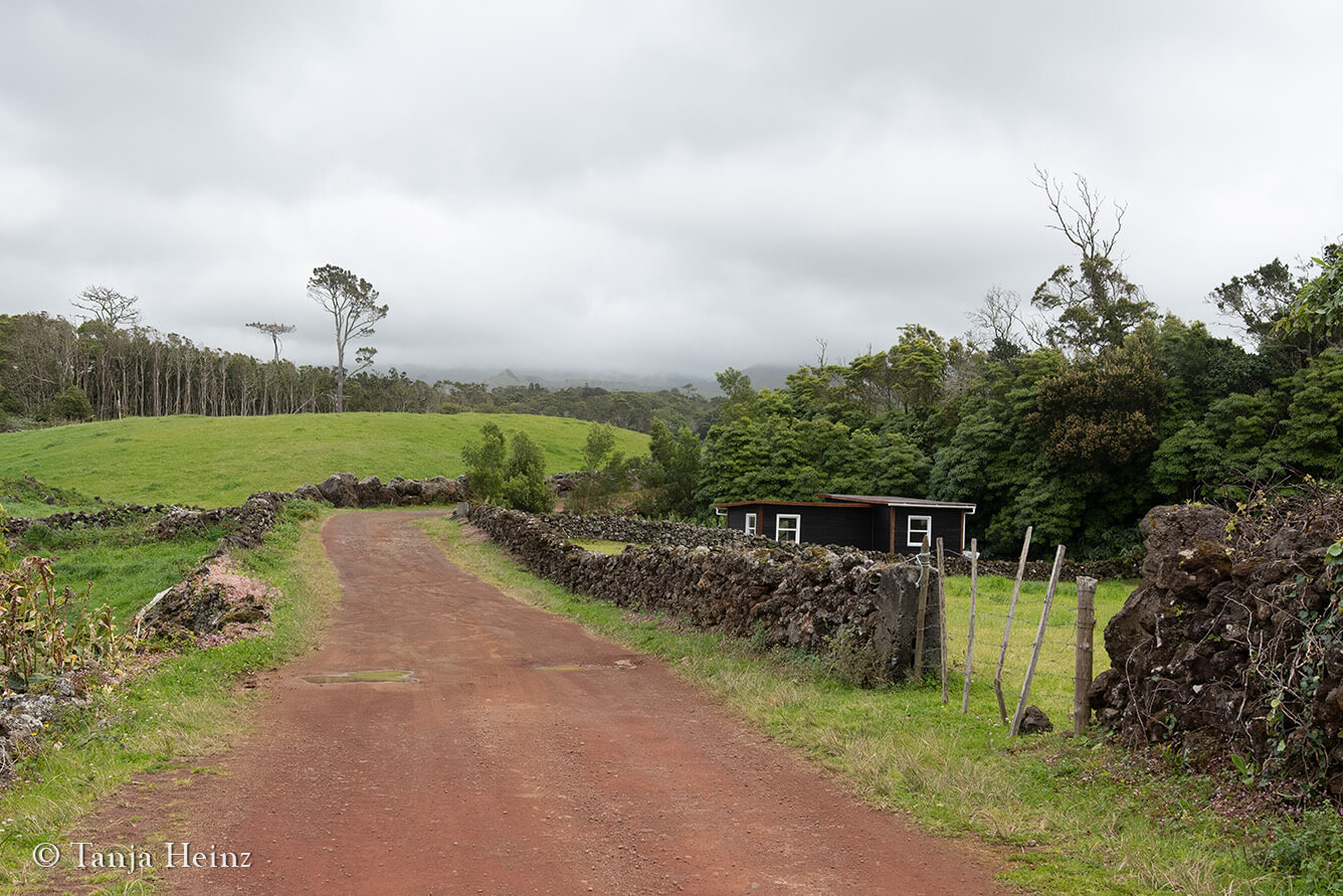 hiking in the Azores