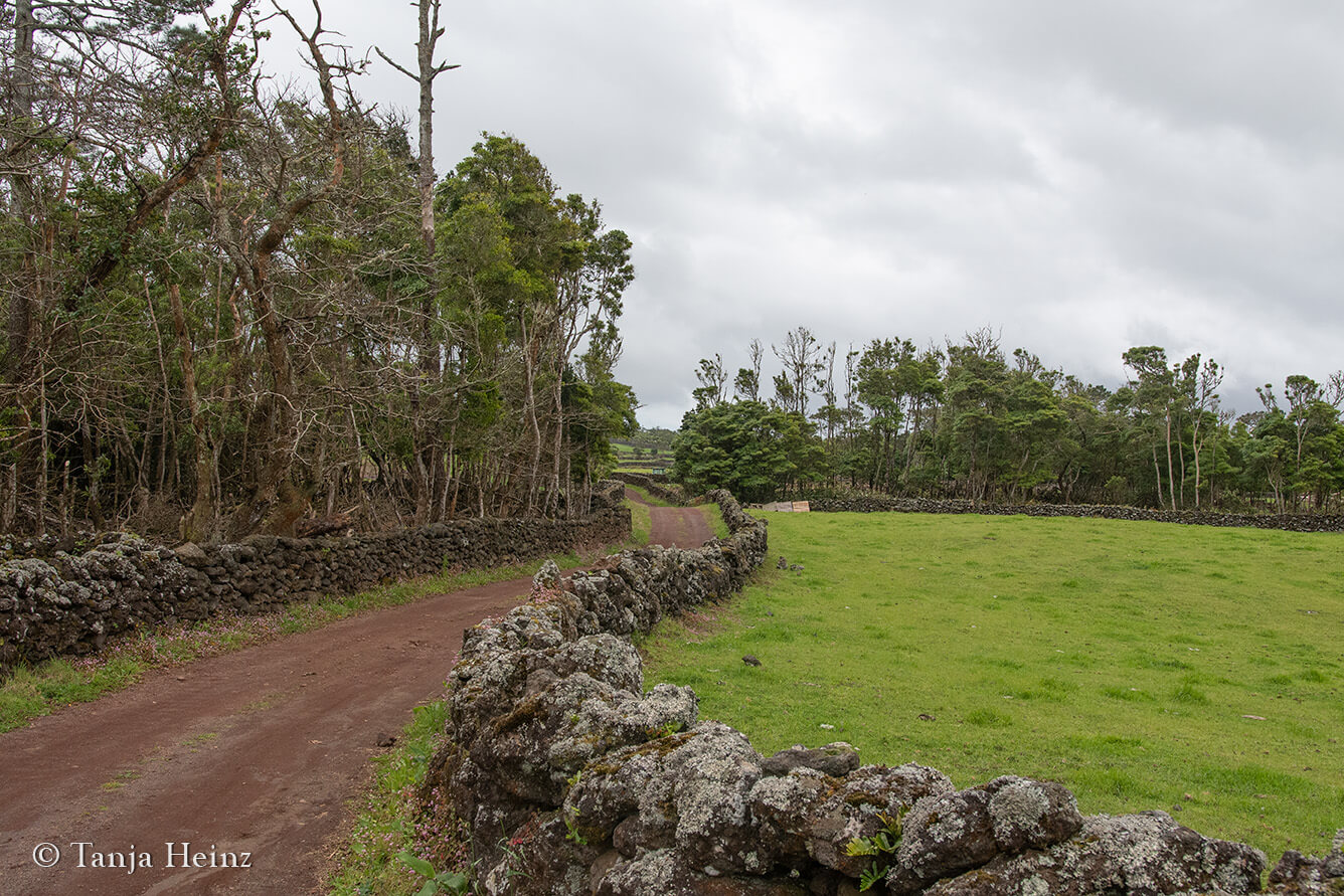hiking in the Azores