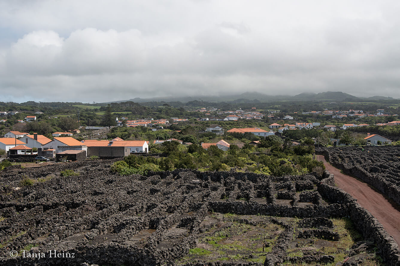 hiking in the Azores