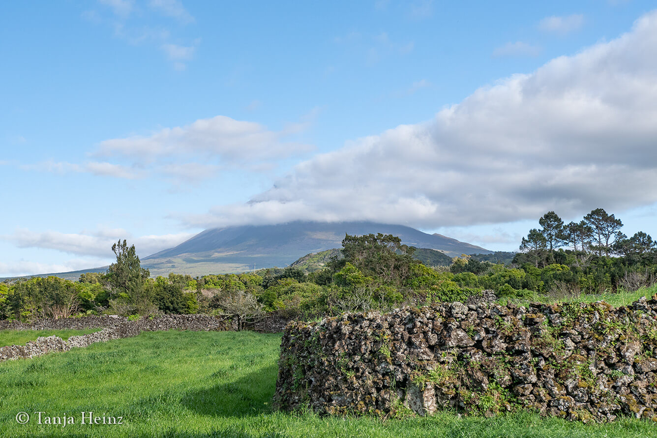 Pico Island in the Azores