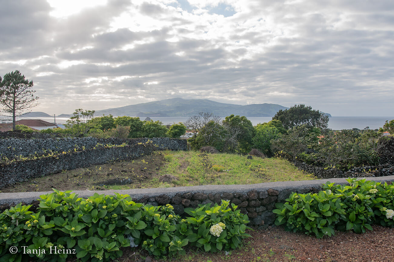 Pico Island in the Azores