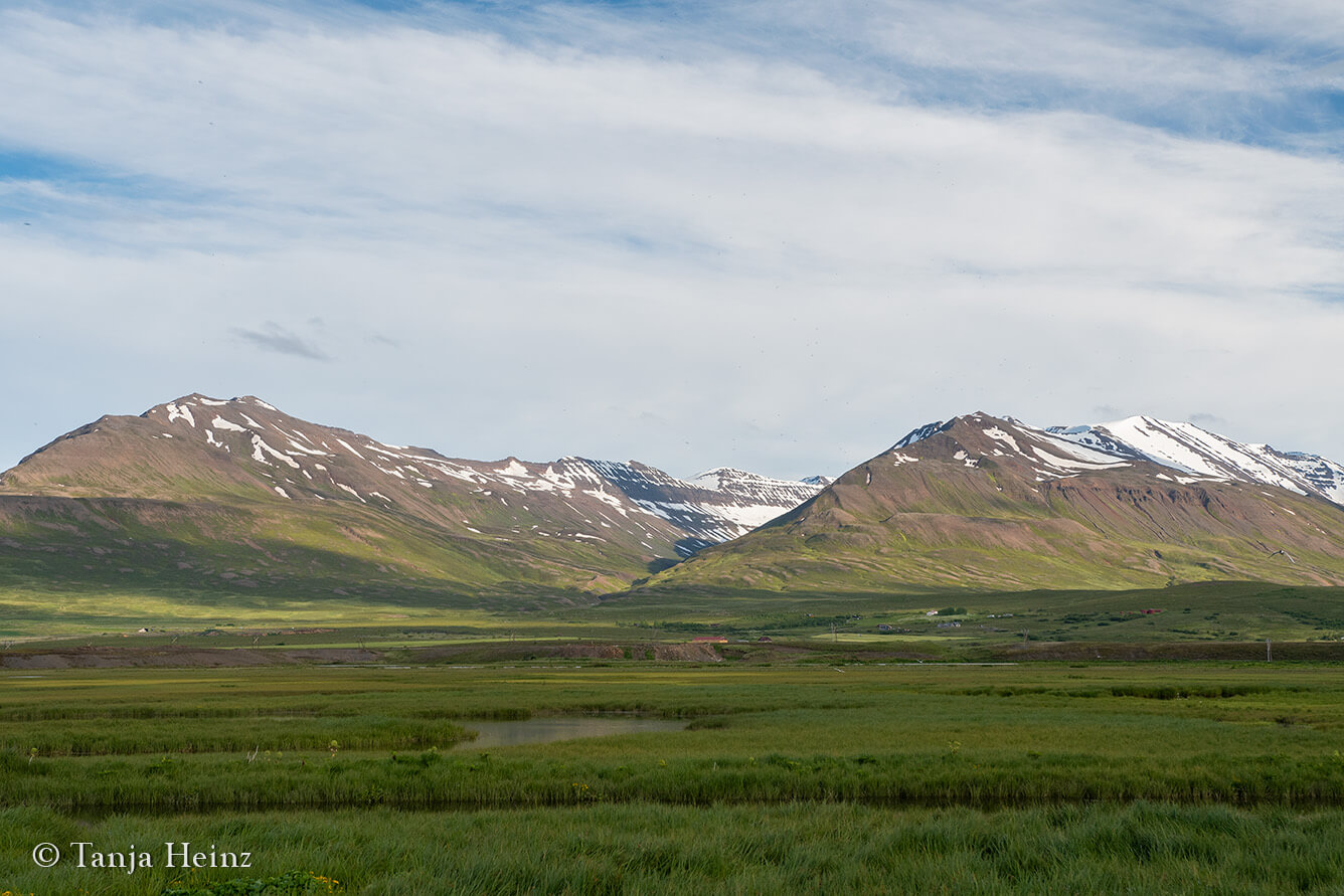 Dalvík in Island