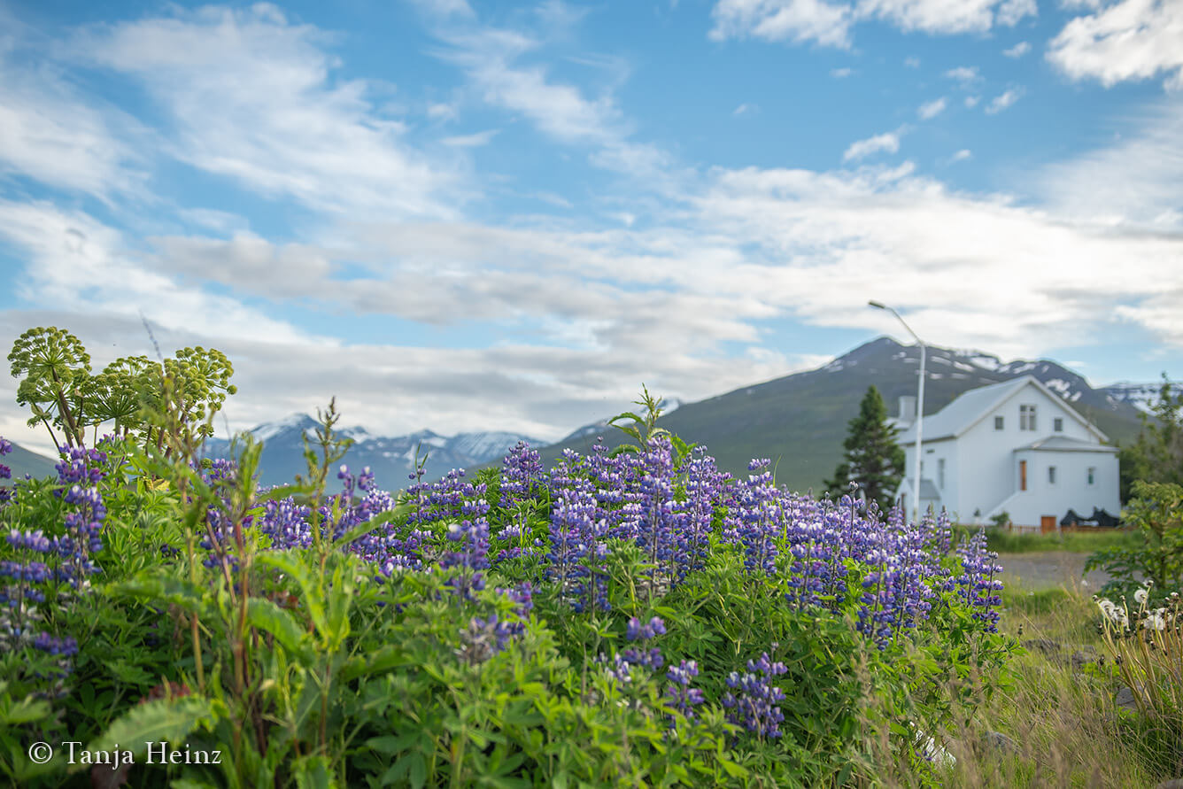 Dalvík in Island