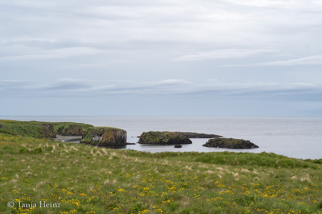 Grímsey island