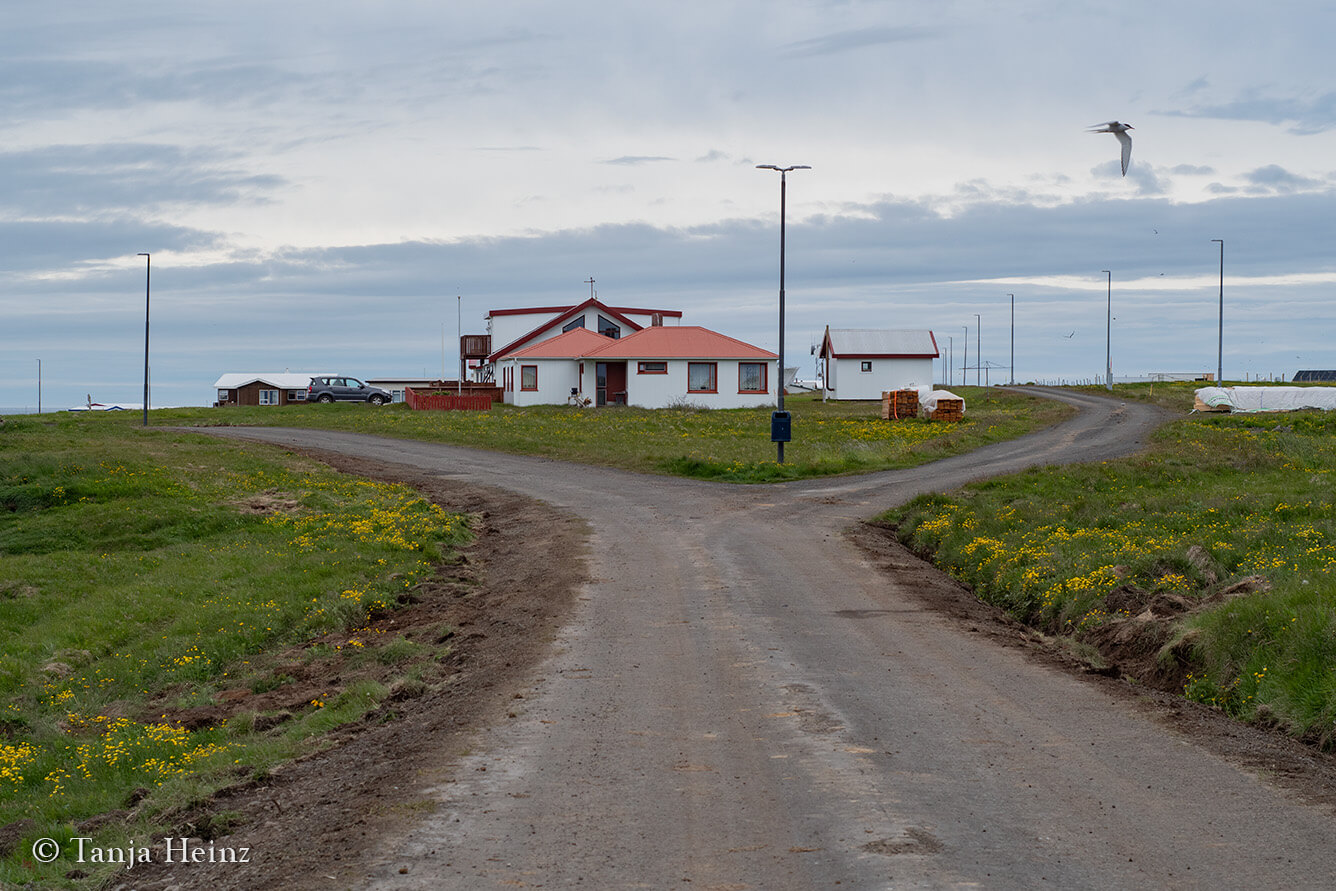 Grímsey island