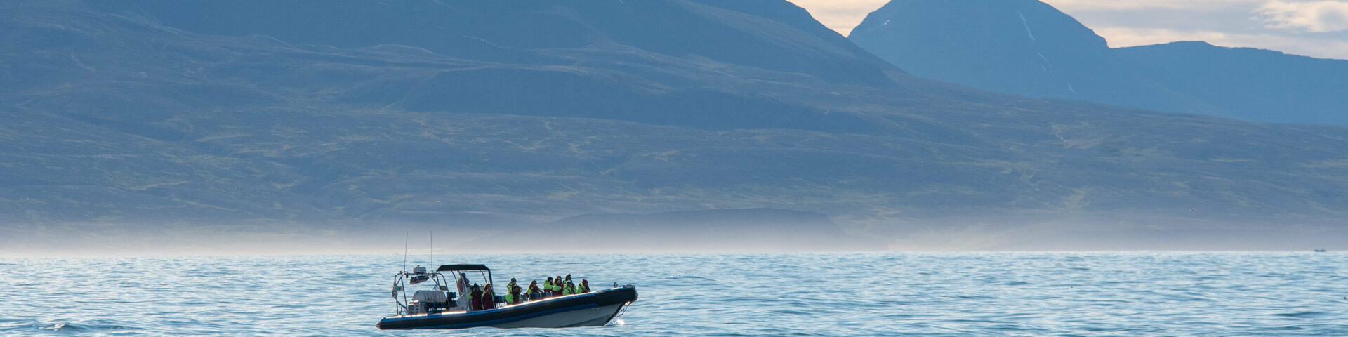 whale watching in Húsavík