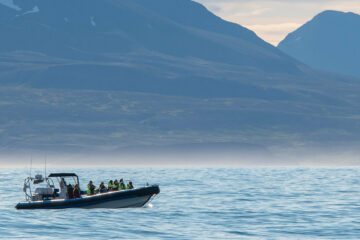 whale watching in Húsavík