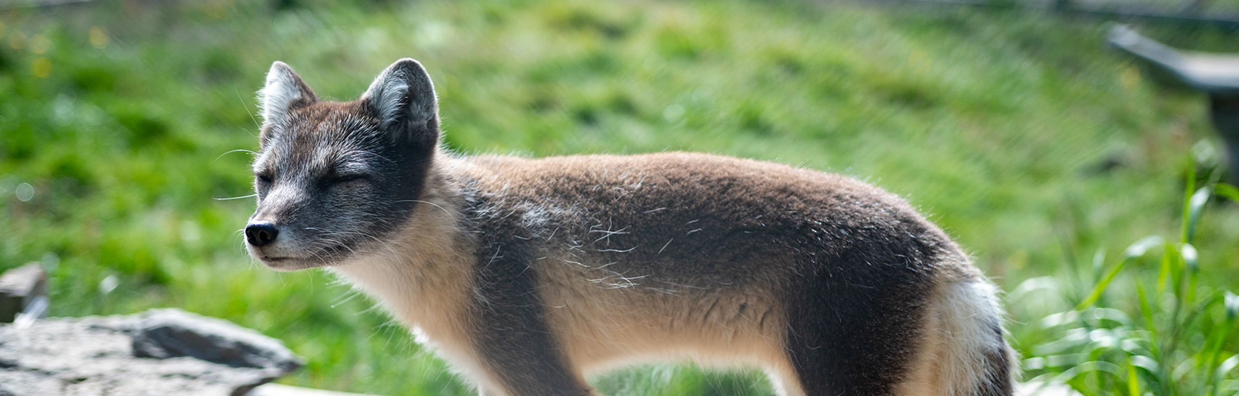 Porno Ketrin Ikkinchi Pugachev Vika Sh Ma - Sibirdagi eng seksual qiz.