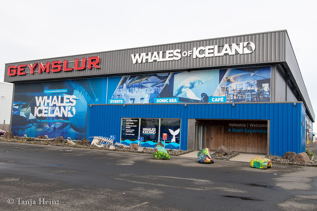 Walmuseum Whales of Iceland in Reykjavík