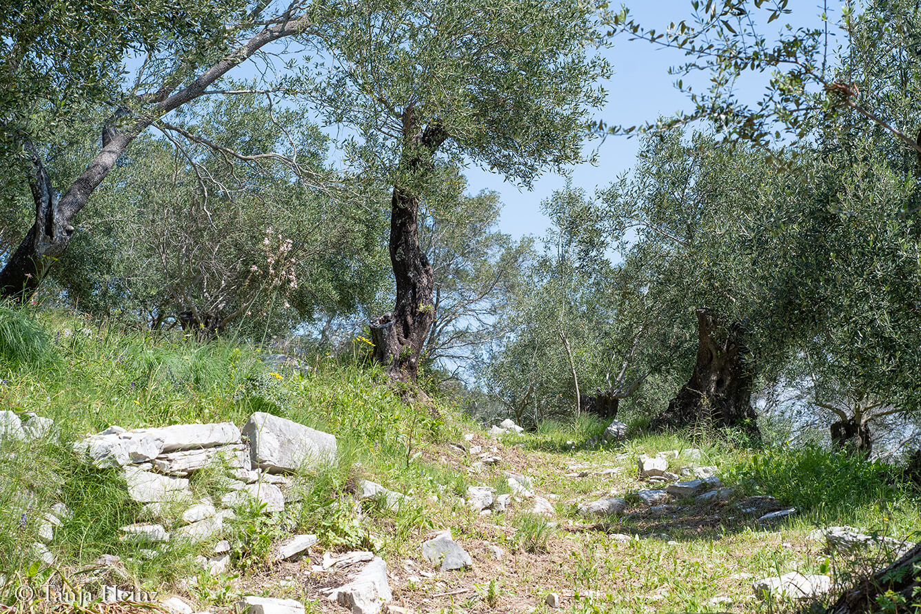 wandern auf Korfu