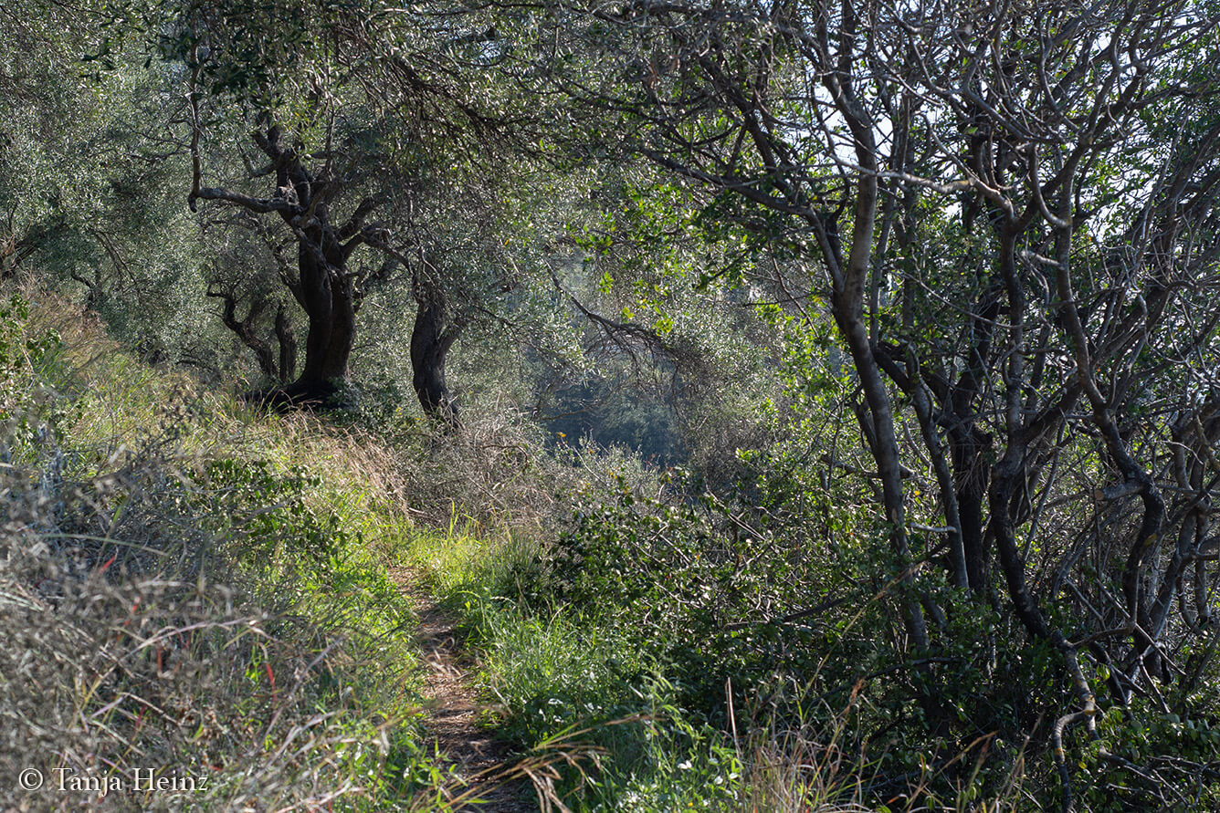 wandern auf Korfu