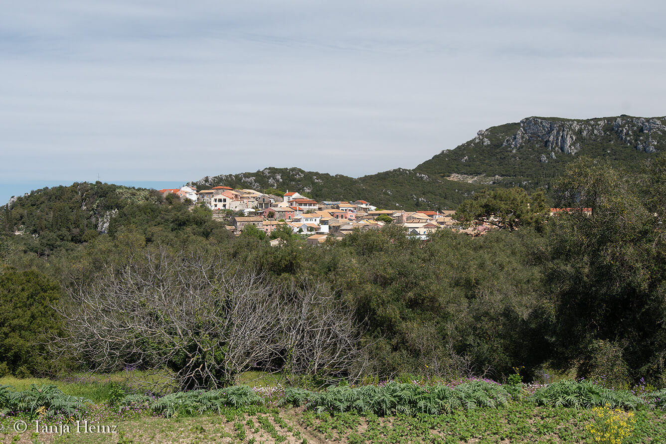 Landschaft auf Korfu