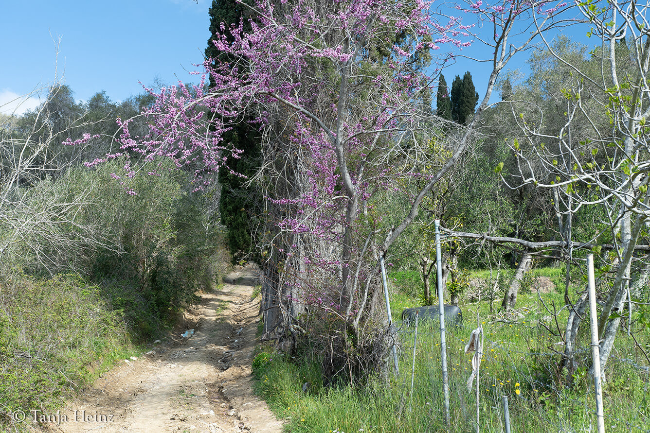 wandern auf Korfu