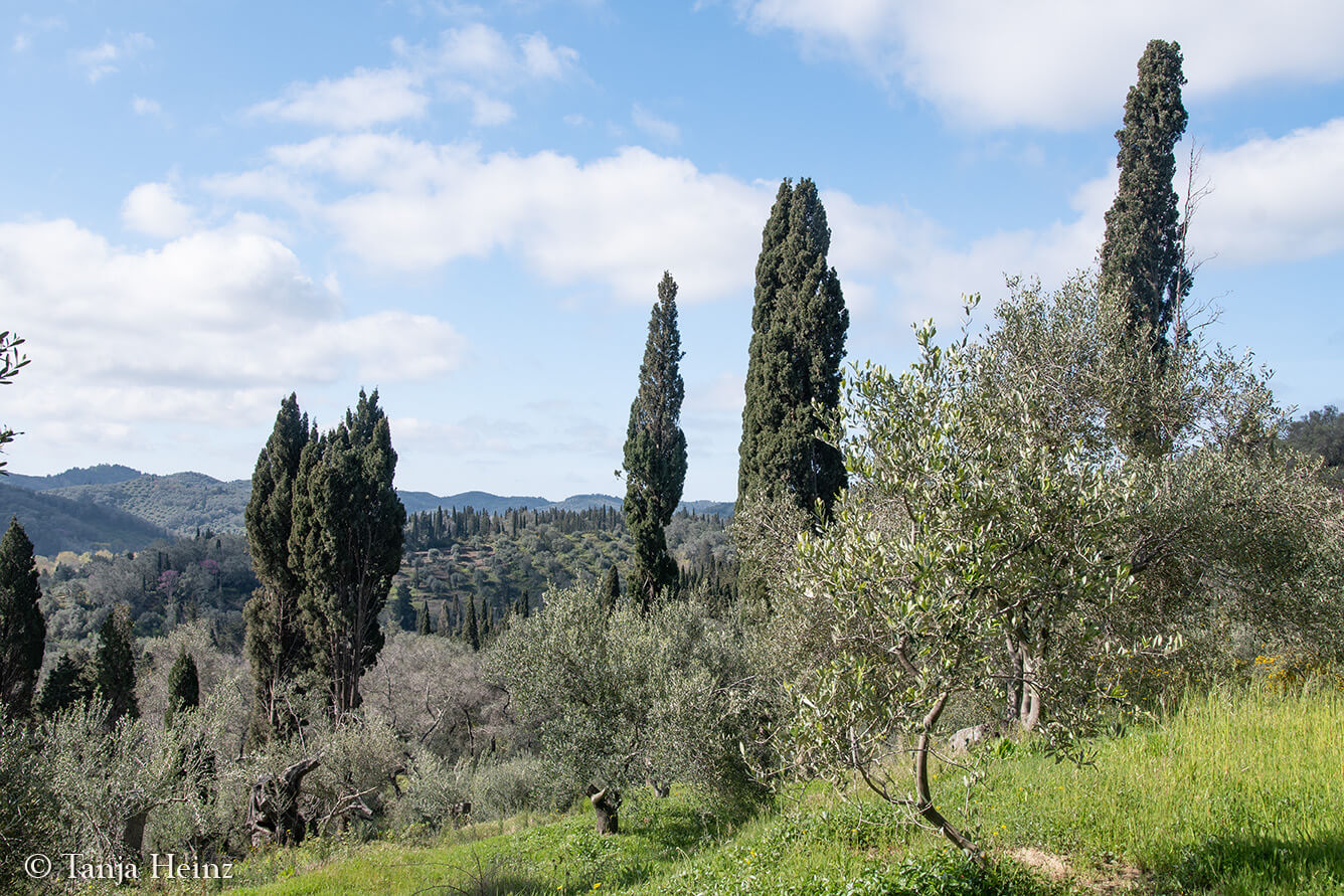 Landschaft auf Korfu