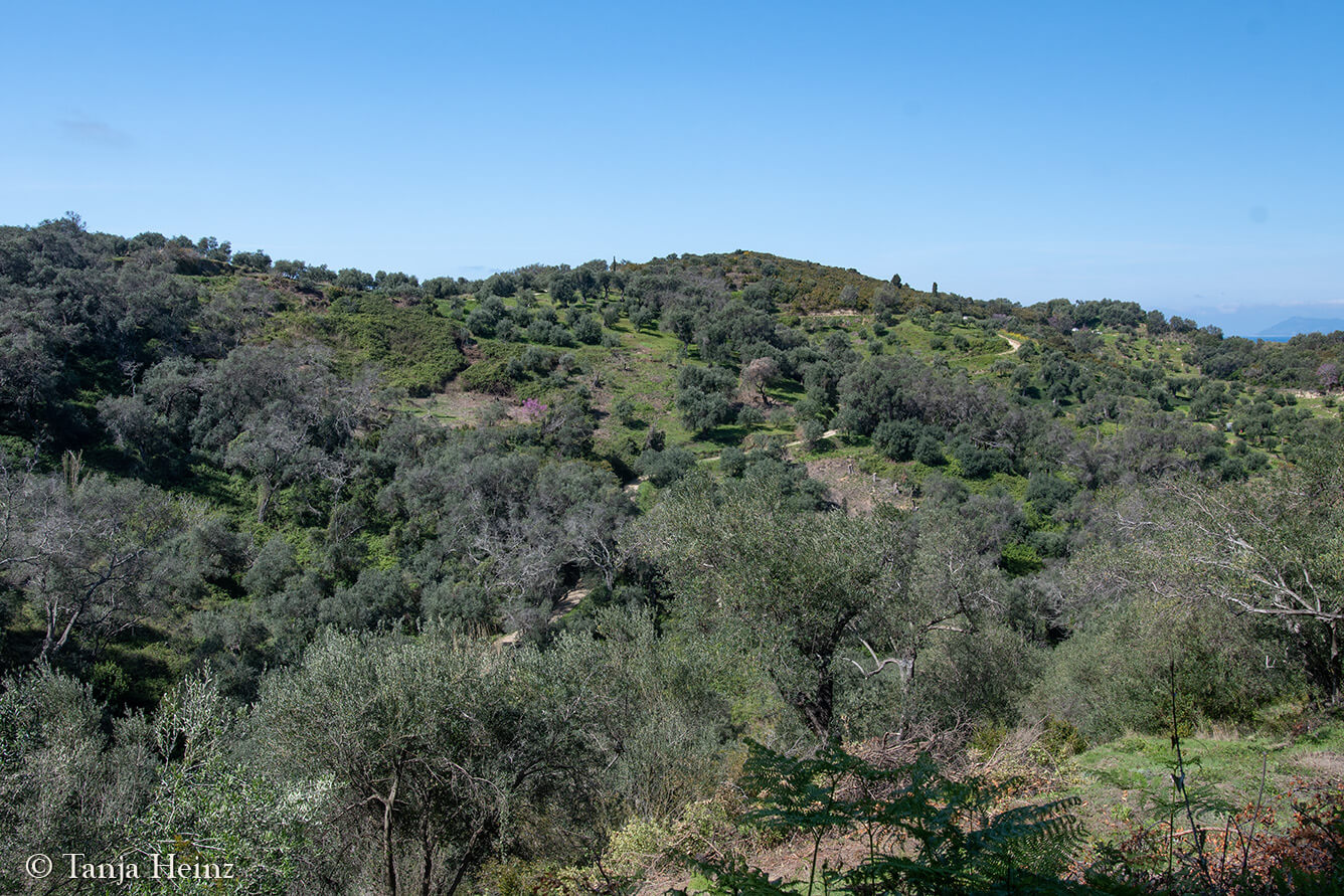 Landschaft auf Korfu