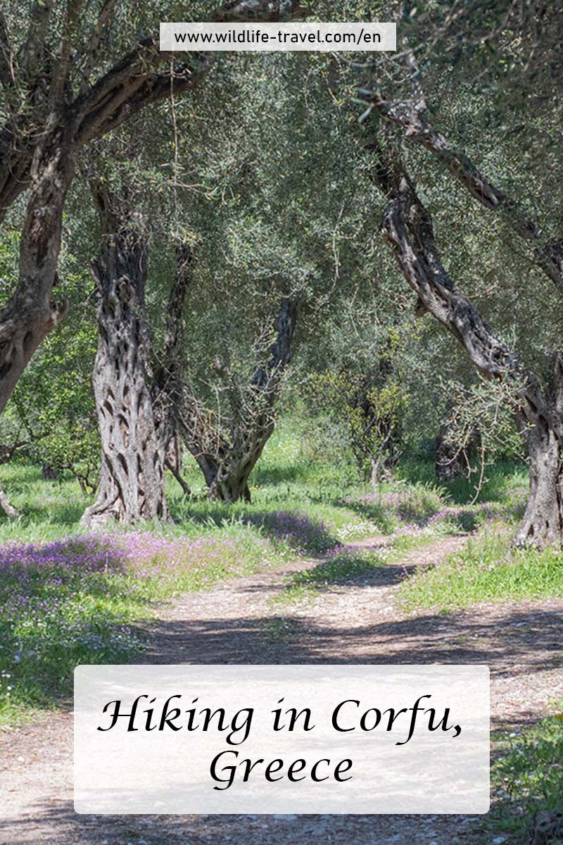hiking in Corfu