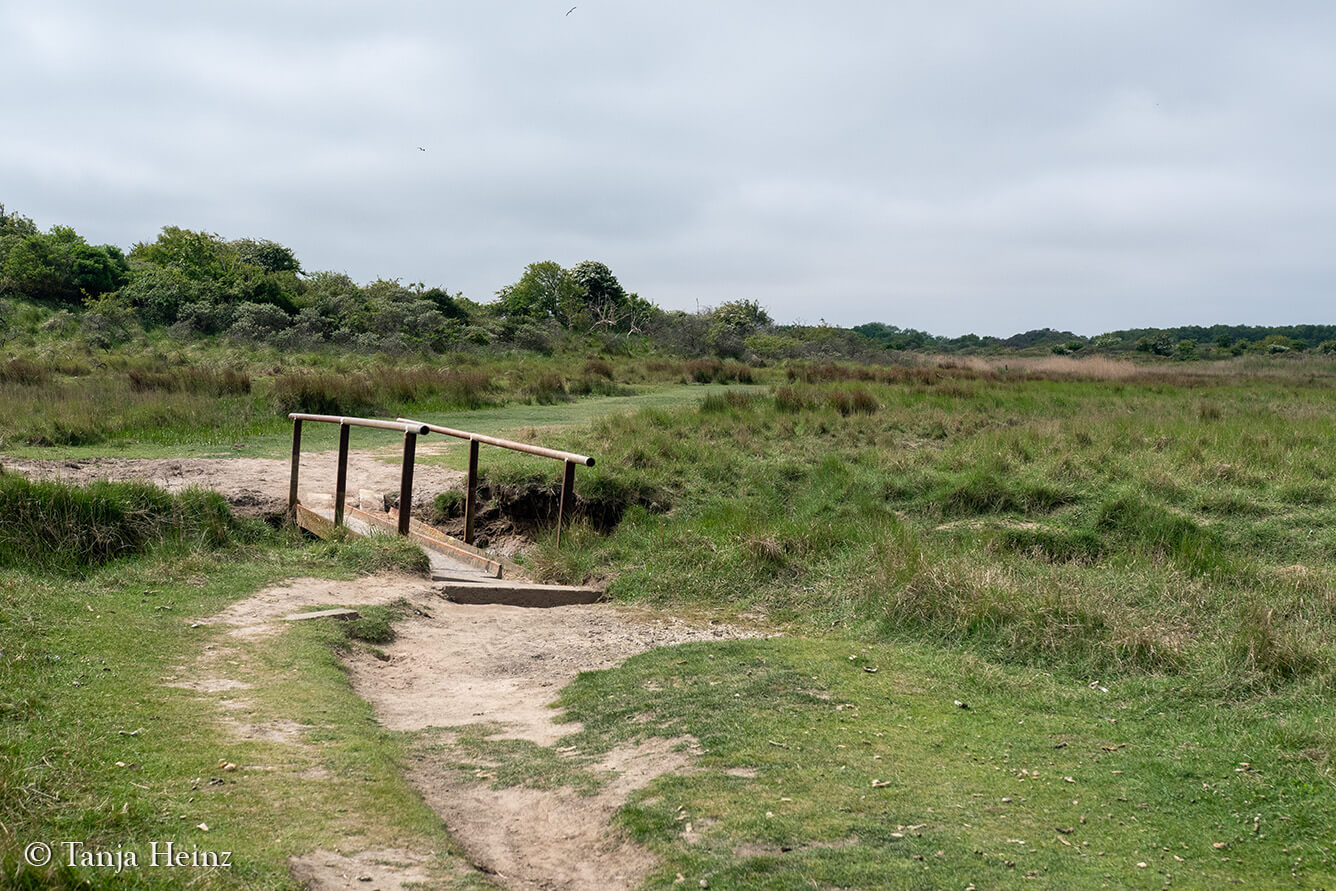East Frisian Islands