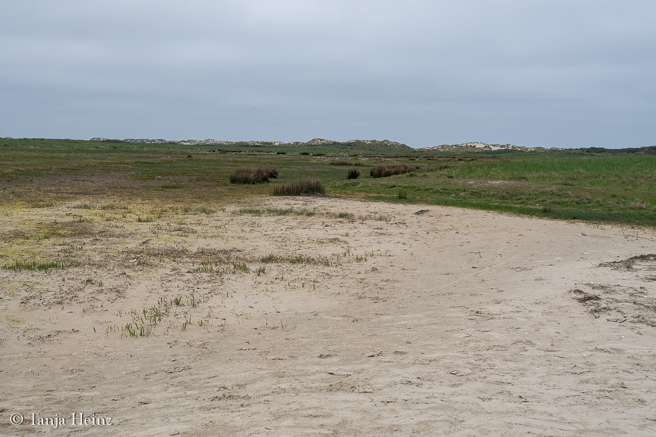 East Frisian Islands