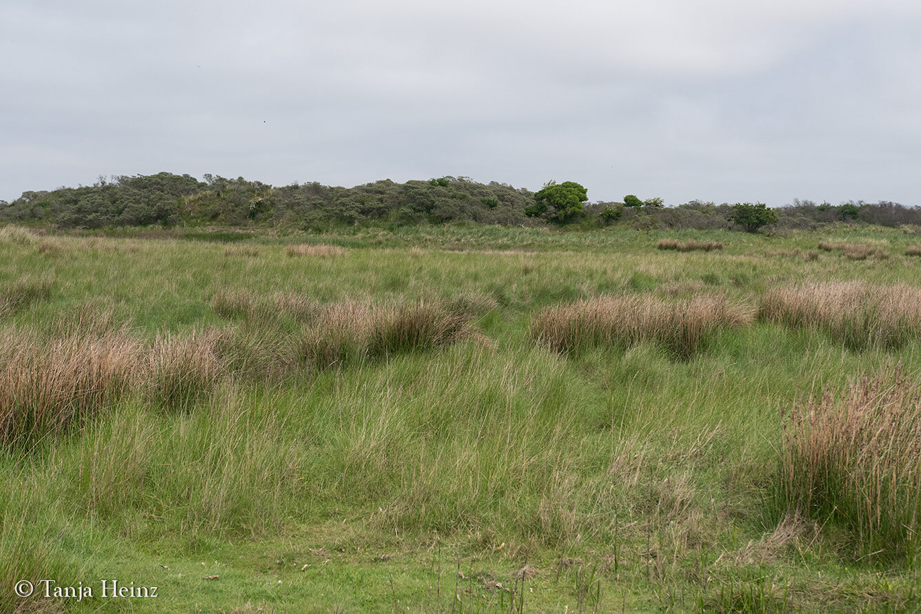 East Frisian Islands