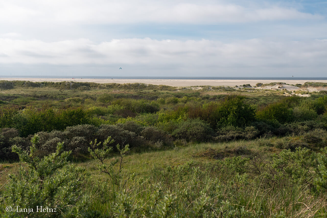East Frisian Islands