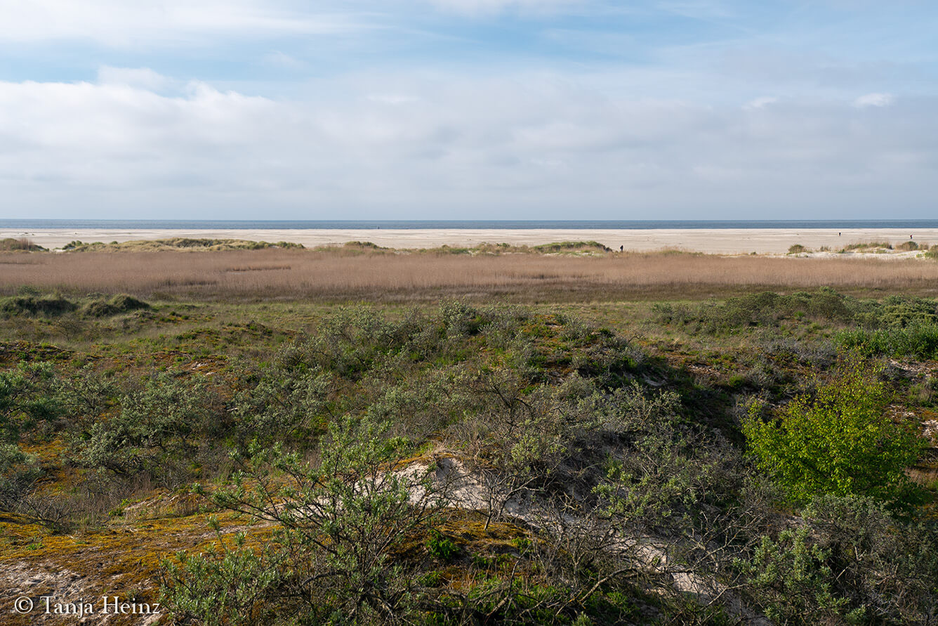 the East Frisian Island