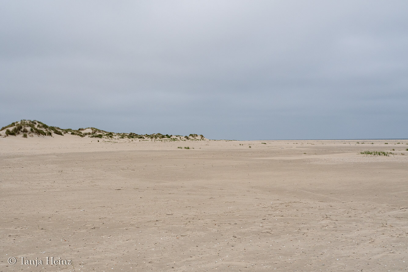 beach on the island Borkum