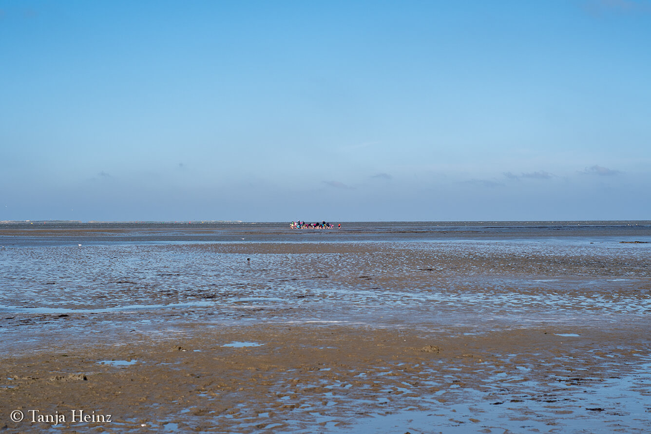 walk across the mudflats on the island Borkum