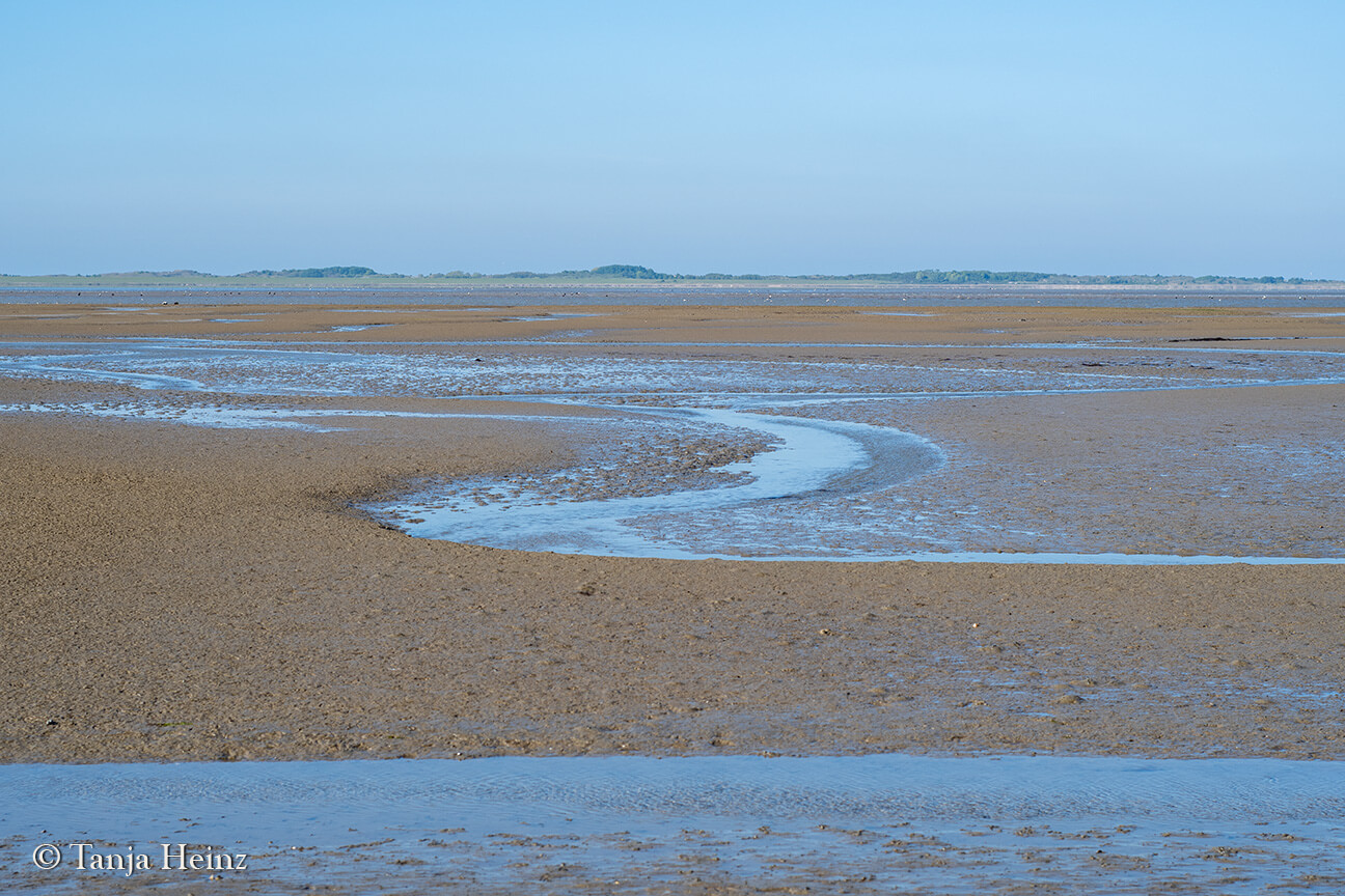 walk across the mudflats on the island Borkum