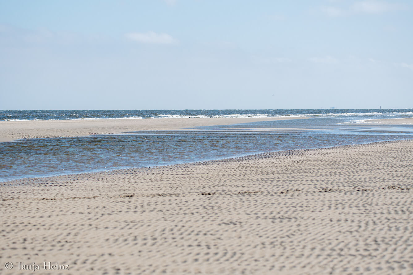 beach on the island Borkum