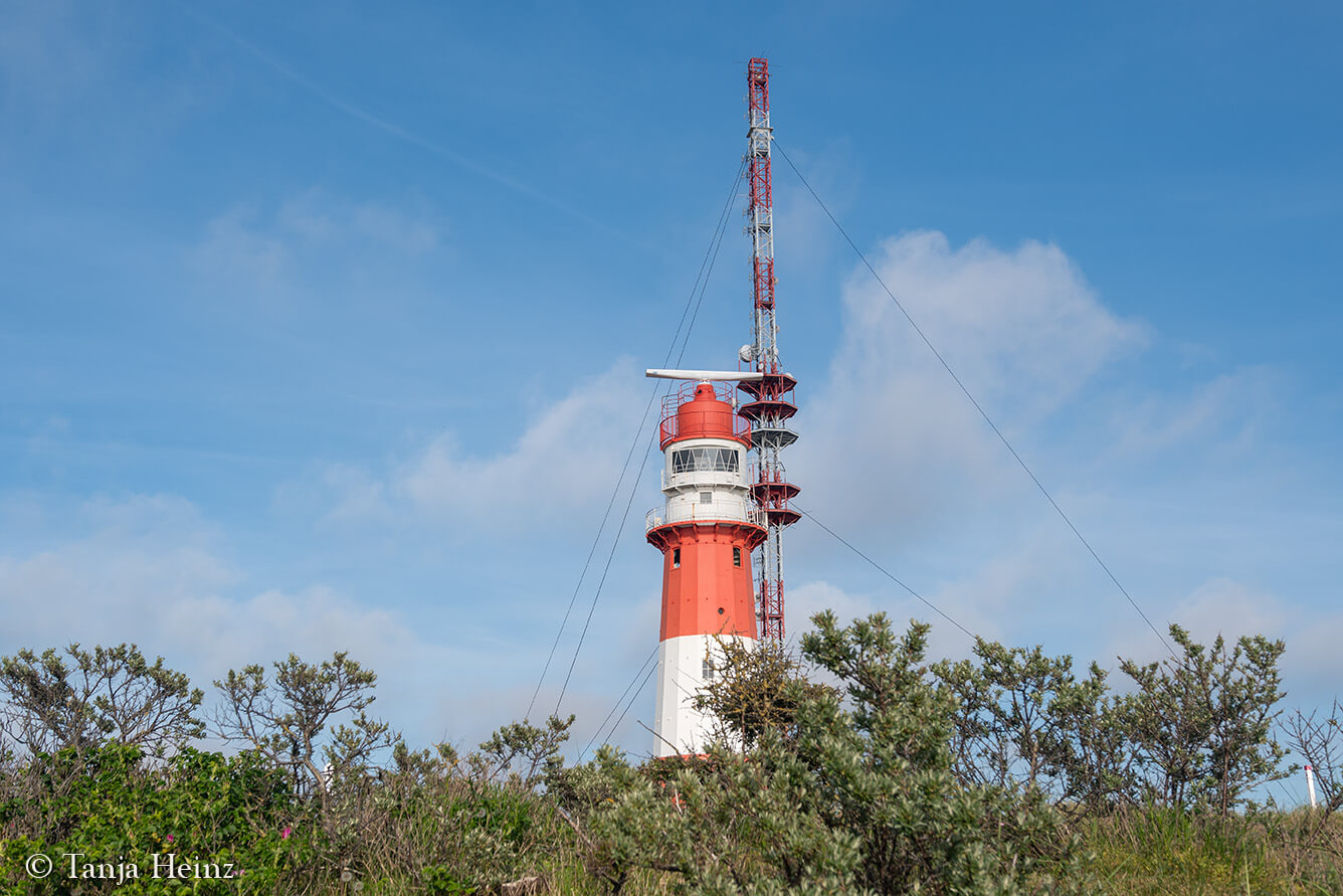 lighthouse on the island Borkum
