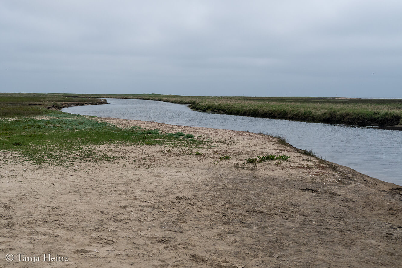 river on the island Borkum