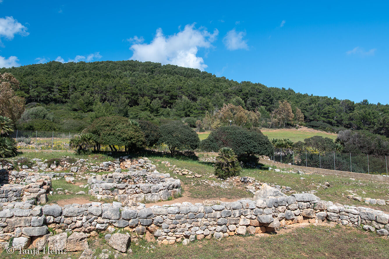 Palmavera auf Sardinien