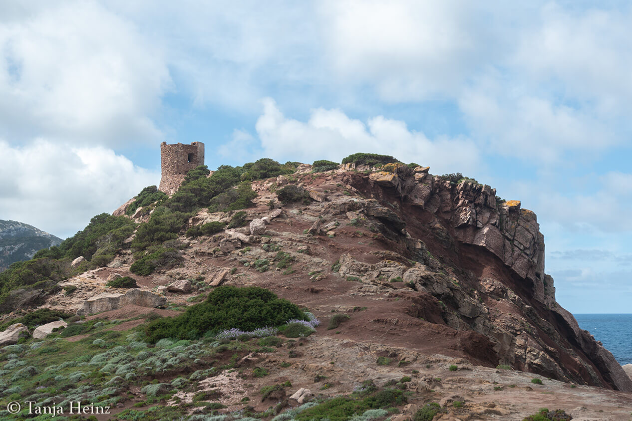 Torre del Porticciolo
