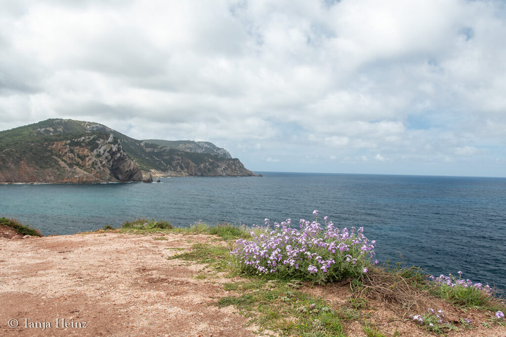 Alghero in April