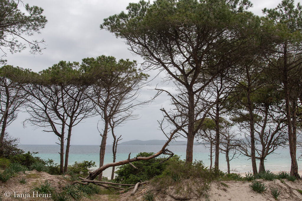 Alghero in April