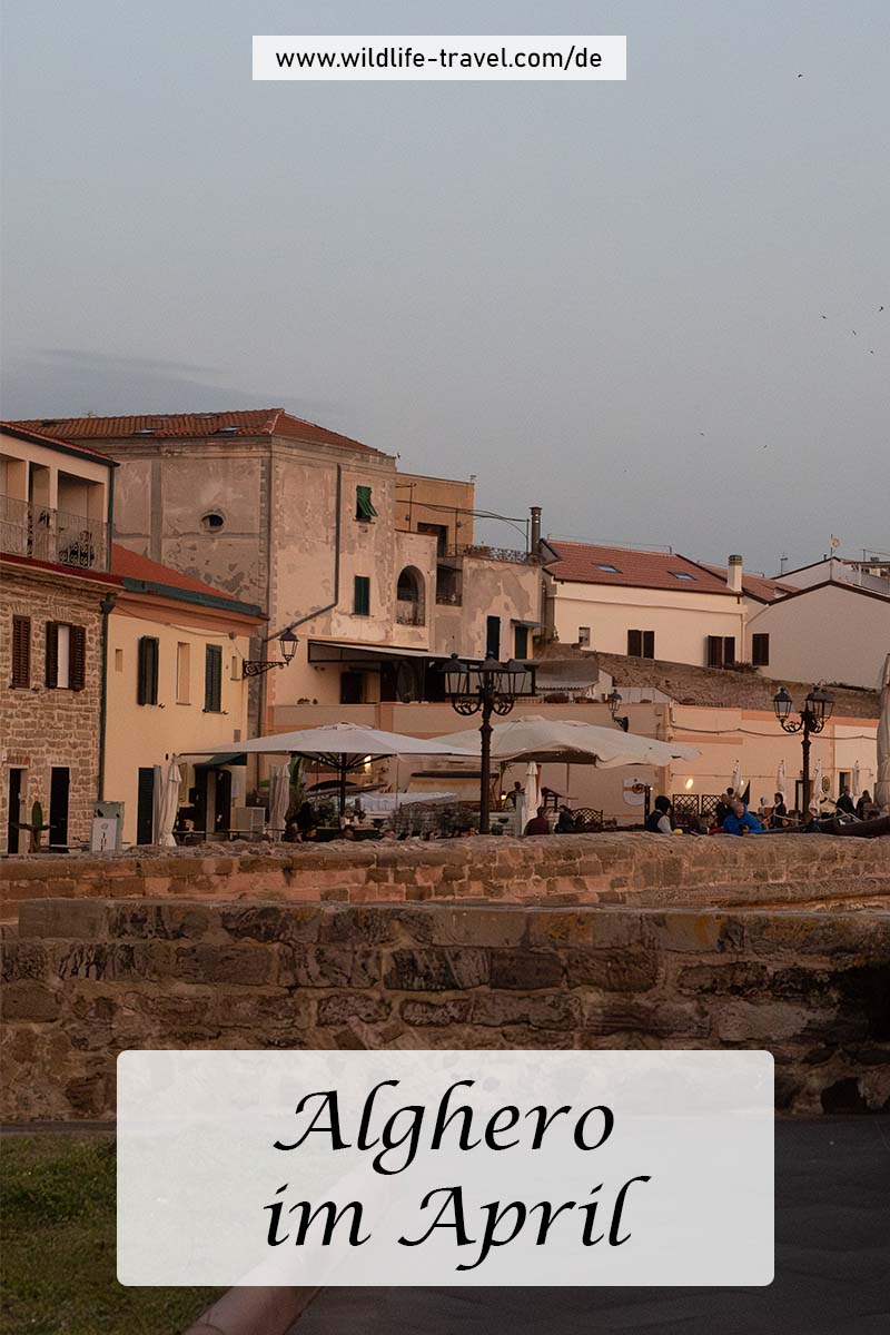 Alghero im April