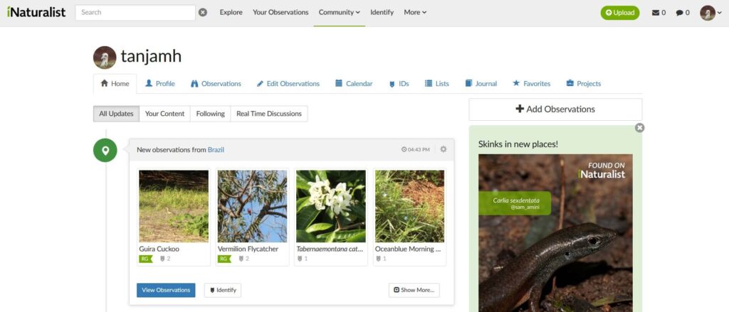 iNaturalist