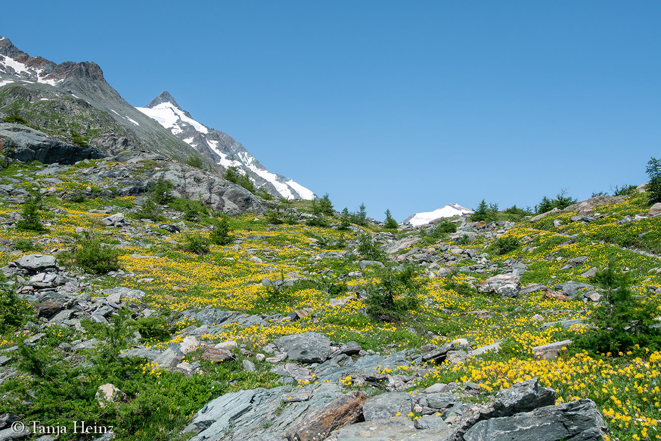 Wandern am Großglockner