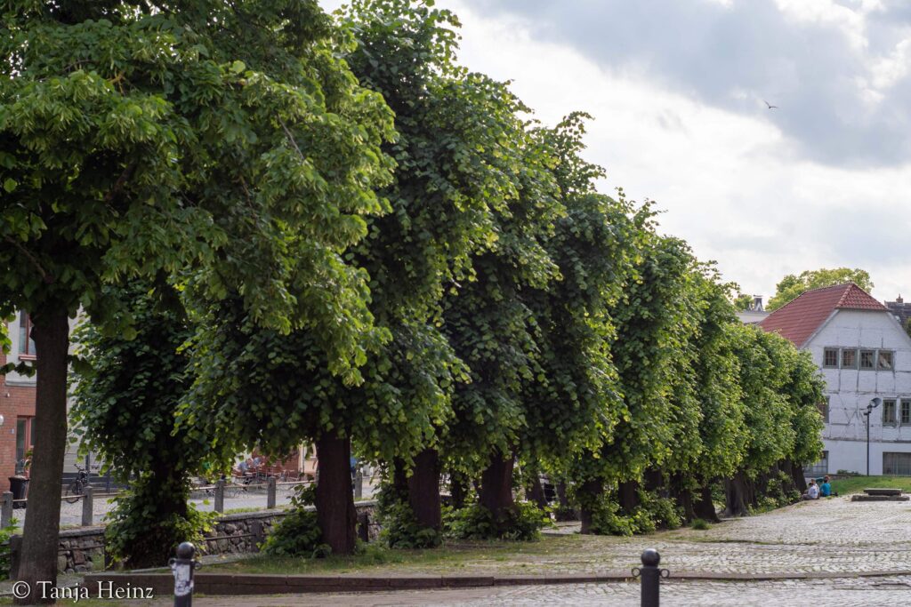 Wismar
