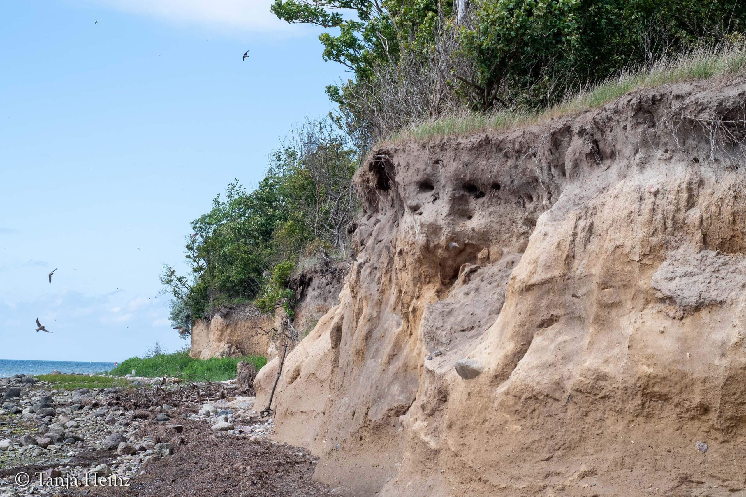 Steilwände auf der Insel Poel